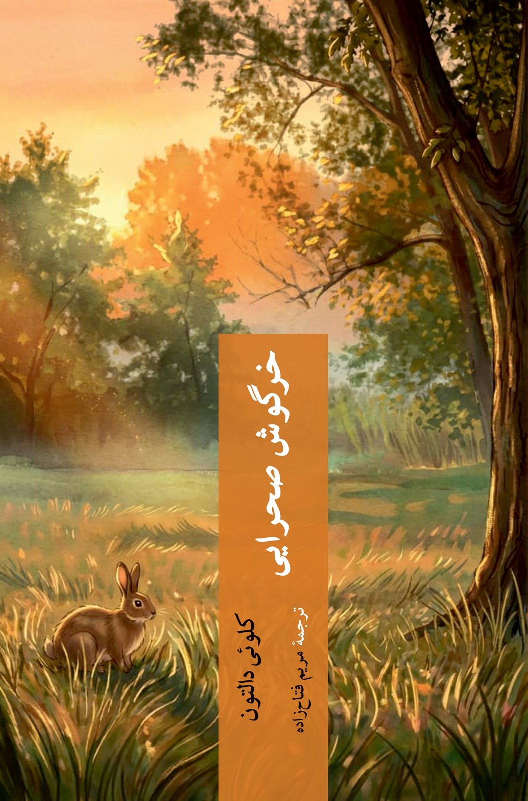 تصویر خرگوش صحرایی